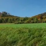 호텔 Land-gut-hotel Raeuber Lippoldskrug 알펠드