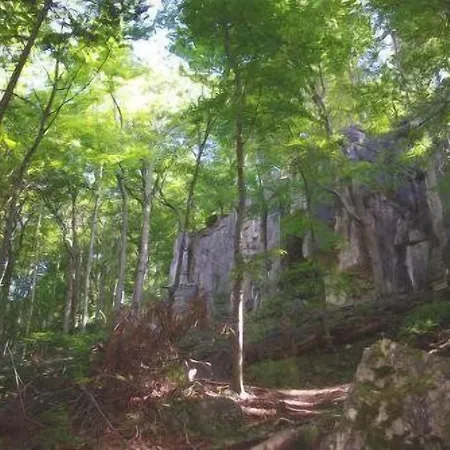 Land-gut-hotel Raeuber Lippoldskrug Άλφελντ