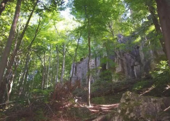 Land-Gut-Hotel Raeuber Lippoldskrug Альфельд